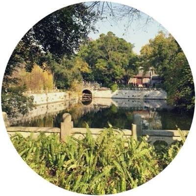 今天买什么特马下载手机版