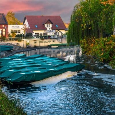 金年会体育app手机注册